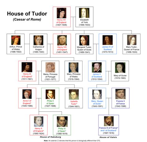 casata tudor|house of tudor family tree.